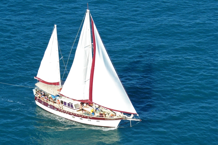 Prosail whitsundays run this 3 day & 2 night sailing adventure around the magical whitsunday islands onboard maxi yacht hammer. The Best Whitsundays Boat And How To Choose It Tripfarm